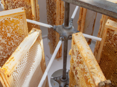 Le travail du miel